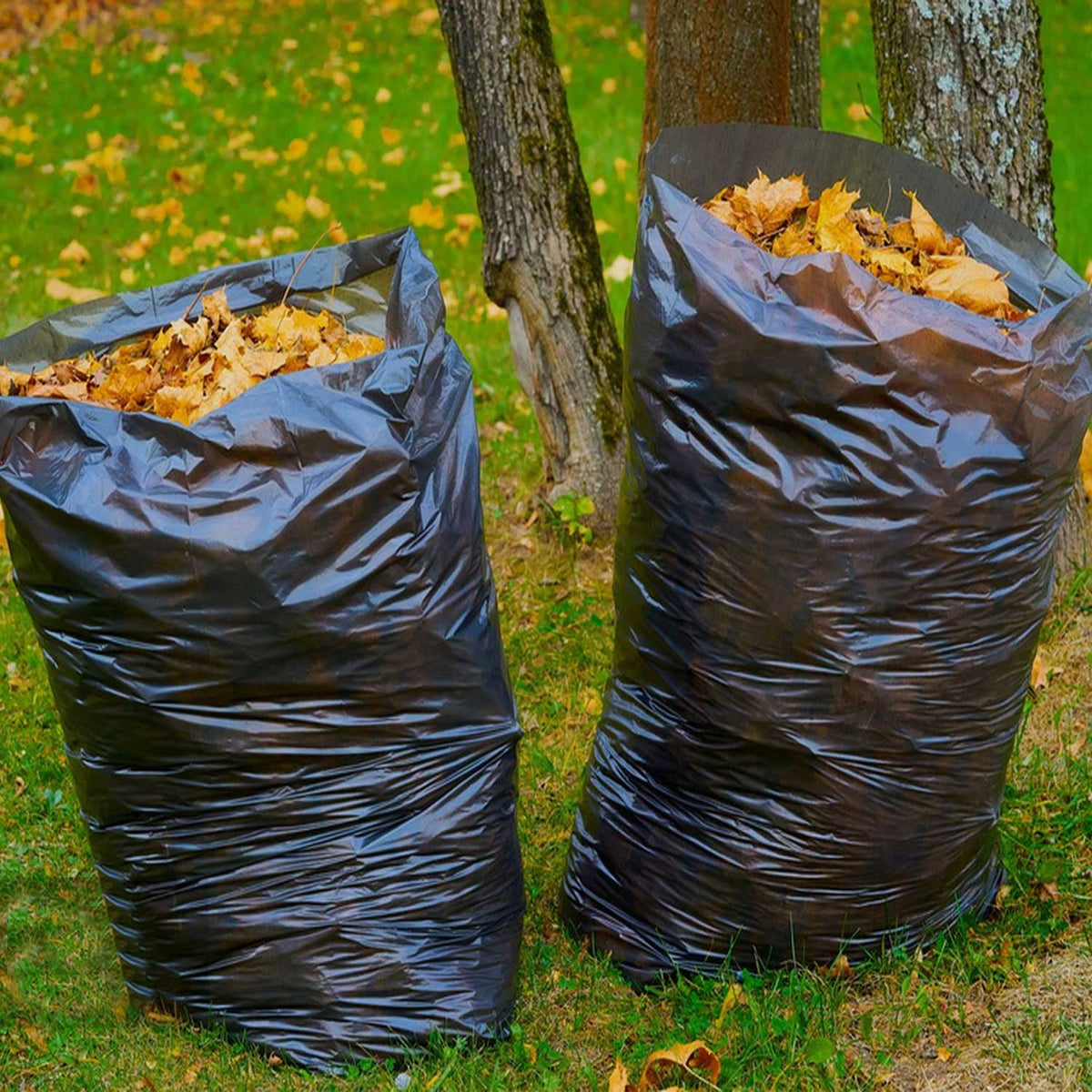 55 Gallon Trash Bags (60 Count), Black Heavy Duty Outdoor Garbage Bags, with Tying Ropes